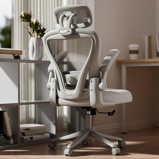 Ergonomic Office Chair M903, Computer Desk Chair with Wheels, High Back Mesh Office Chair with Adjustable Lumbar Support, Headrest, Flip-Up Armrests, All-Grey