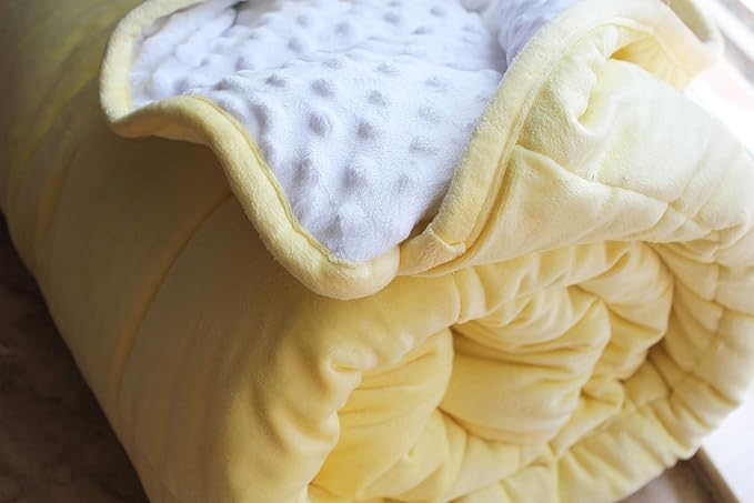 ALANSMA Reversible Weighted Blanket for All Season, Luxury Velvet, Warm and Cool, Adult 20Lb Yellow Weighted Blanket, Enjoy Sleeping Anywhere(Light Yellow,60"x80" 20lbs)