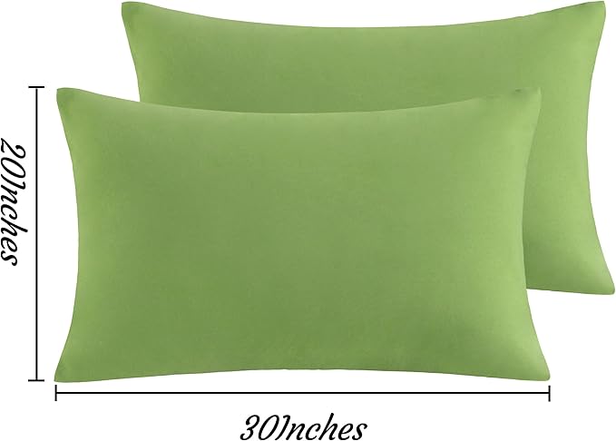 NTBAY Queen Pillow Cases Set of 2, 2 Pack Brushed Microfiber 20x30 Pillow Cases, Soft, Wrinkle, Fade, Stain Resistant Sage Green Pillow Cases with Envelope Closure, 20x30 Inches, Sage Green