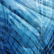 CVHOUSE Sea Turtle Bedding Set,Sea Turtle Comforter Full,Ocean Bohemia Comforter Set for Boys Kids Girls,Ocean Quilt Set with 1 Comforter and 2 Pillow Cases