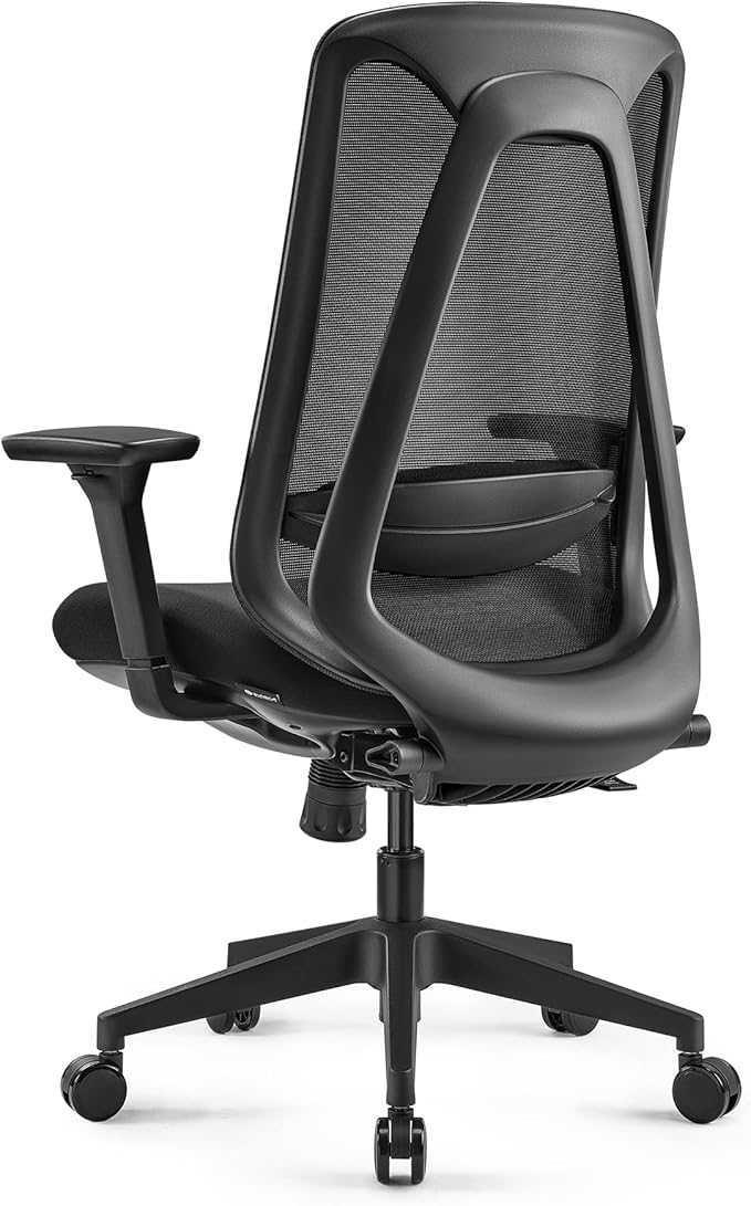 EUREKA ERGONOMIC Office Chair, Ergonomic Computer Desk Chairs with Lumbar Support, 3D Adjustable Armrests, Work Chair with Wheels for Office and Home, Black