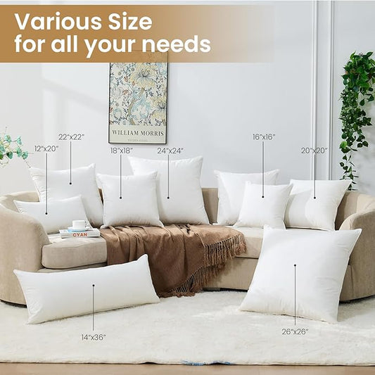 BHZ Throw Pillows 18x18 Euro Pillow Inserts Set of 2, Down Feather Alternative Pillow Inserts, Decorative Soft Large Square White Throw Pillows Insert for Couch Bed Dorm Sofa with Cotton Cover