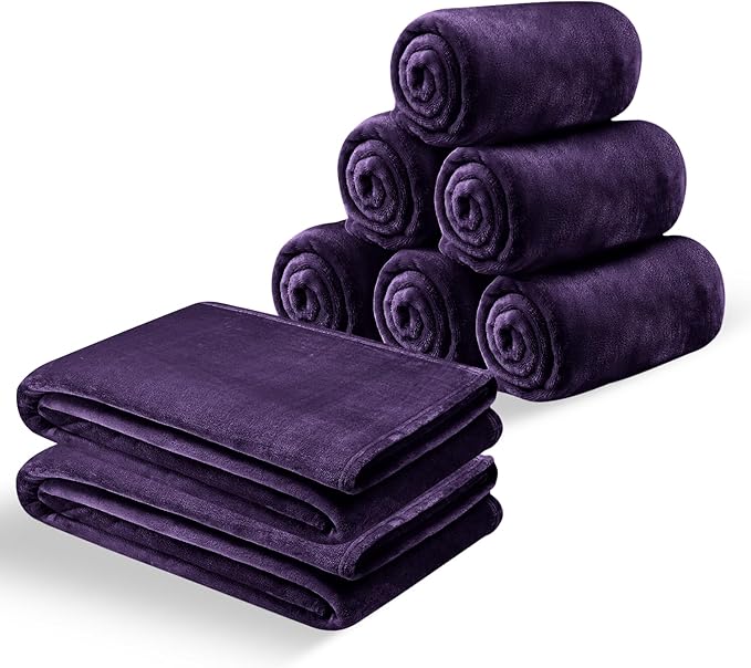 IR Imperial Rooms Fleece Blankets Queen Size 90x90 Inches- 8 Pack - Super Soft Fluffy Throw Blanket for Sofa and Bed - Warm and Cozy Lightweight 400 GSM Microfiber Bed Throws Blankets (Queen, Purple)