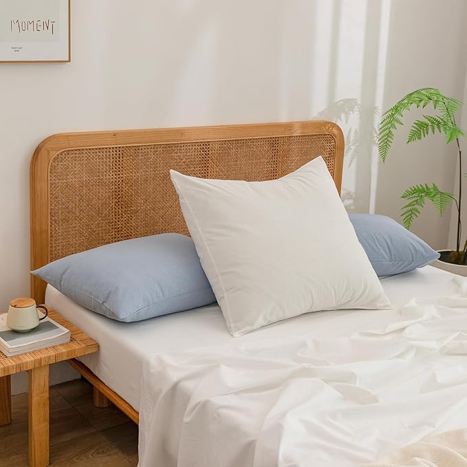 BESTOUCH 100% Washed Cotton Pillowcase for Hair and Skin Linen Feel Soft Comfortable Breathable 2 Set Pillow Case with Envelope Closure Solid Cornflower Blue Queen 20x30 Inches