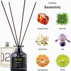 SNSE Escentric Perfumed Reed Diffuser Set - Premium Reed Diffusers for Home with Diffuser Reeds, Luxurious Gift Aroma, Sophisticated Scent, Ideal for Relaxation, Elegant Home Fragrance