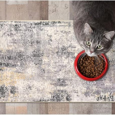 Lahome Modern Abstract Area Rug - 2x3 Small Gray Bath Rug Soft Washable Non-Slip Contemporary Entryway Rug, Throw Doormat Indoor Entrance Floor Accent Carpet for Kitchen