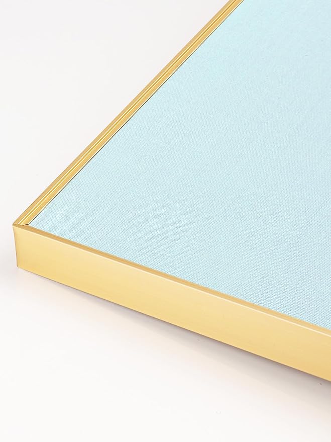 Bulletin Board 30 x 20 inches, Light Blue Pin Board, Golden Aluminum Framed Fabric Cork Board with 10 Push Pins