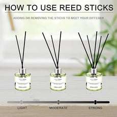 Reed Diffuser Set of 3 Pack,50ML Lemon Basil Ocean Rose Scented Oil Diffuser with 5 Sticks,Home Fragrance Reed Diffuser for Bedroom Bathroom Office (Lemon Basil/Ocean/Rose)