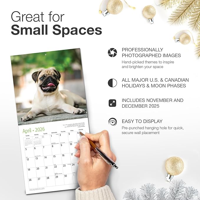 RED EMBER Pug Puppies 2026 Mini Wall Calendar 12 Month | 7" x 14" Open | Thick & Sturdy Paper | Holiday Gift | Cute Puppy Dog Calendar 2026