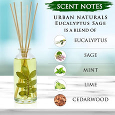 Urban Naturals Eucalyptus Sage Reed Diffuser Oil Gift Set | Eucalyptus, Sage, Mint, Lime & Cedarwood Essential Oils| Soothing & Relaxing Scent for Bathroom or Bedroom