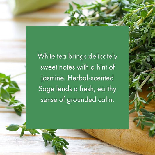 ScentAir Whisper Home Monthly Plug-in Refill, Fragrance Cartridge for Home and Office, White Tea & Thyme