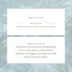 ScentAir Whisper Home Monthly Plug-in Refill, Fragrance Cartridge for Home and Office, Ocean