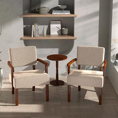 Accent Chair, Cat-Scratch Velvet Living Room Chairs Oversize with Soft Seat and Armrests for Dinning Room Bedroom Reading Room Waiting Room