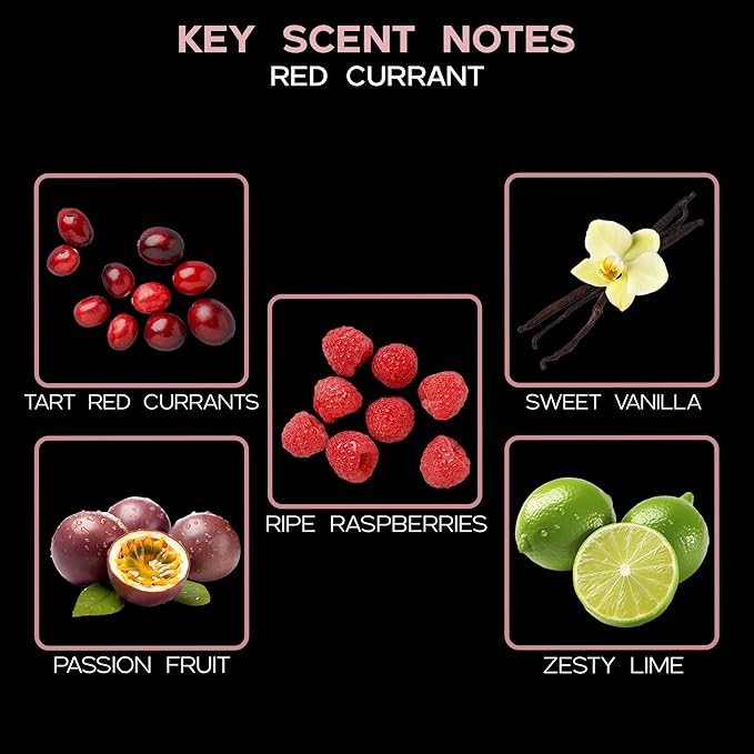 LOVSPA Reed Diffuser Set, Red Currant Scented Oil Diffuser with Sticks, Home Fragrance Accessories for Bathroom Shelf Decor, Aroma Diffusers for Home or Office Desk, USA Made