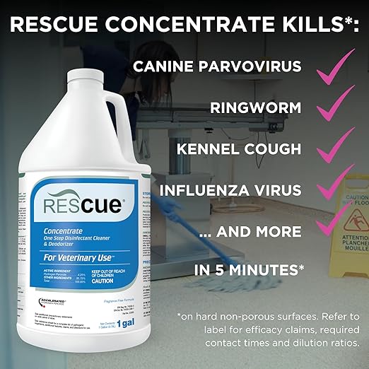 REScue Canister Wipes & Gallon Concentrate 4 Pack – Disinfectant Cleaner for Vet Use, Designed to Clean Kennels, Litter Boxes & More