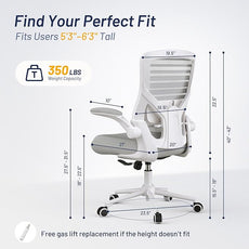 Office Chair for Long Hours & Lower Back Pain Relief – 4