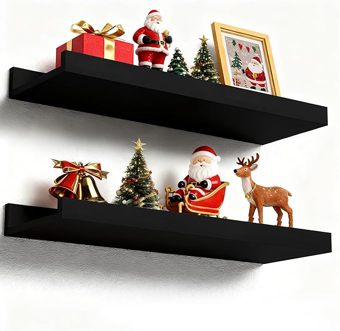 Floating Shelves Wall Mounted Set of 2, Modern Black Wall Shelves for Storage with Lip, Display Picture Ledge Shelf for Wall Decor Bedroom Living Room Bathroom Kitchen