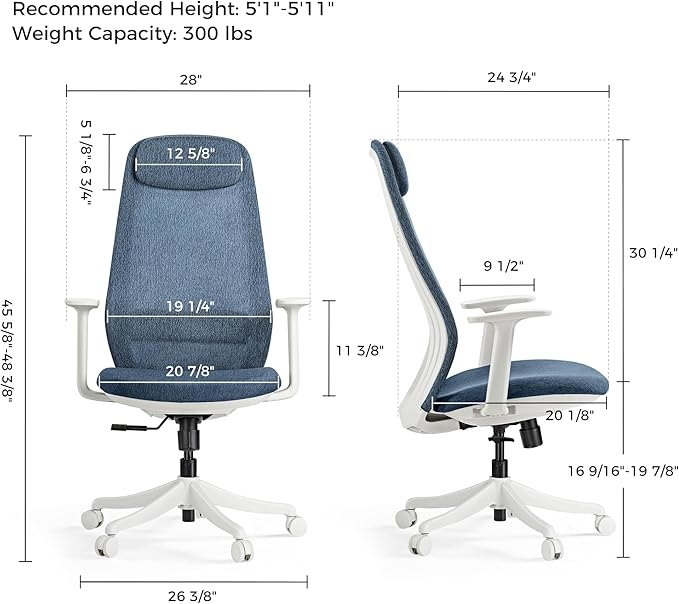 EUREKA ERGONOMIC Skylar-Lite Mesh Office Chair Blue, Ergonomic Office Desk Chair with Adjustable Headrest, Home Office Desk Chairs with Adjustable Lumbar Support
