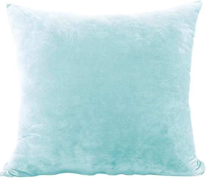 EVOLIVE Soft Micromink, Faux Fur, Faux Velvet Euro Sham Cover Pillowcase Replacement with Zipper Closure (26"x26" Euro Sham, Light Blue)