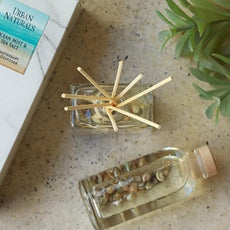 Urban Naturals Ocean Mist & Sea Salt Reed Diffuser Set | Made with Essential Oils & Real Seashells | Decorative Air Freshener Room Diffuser