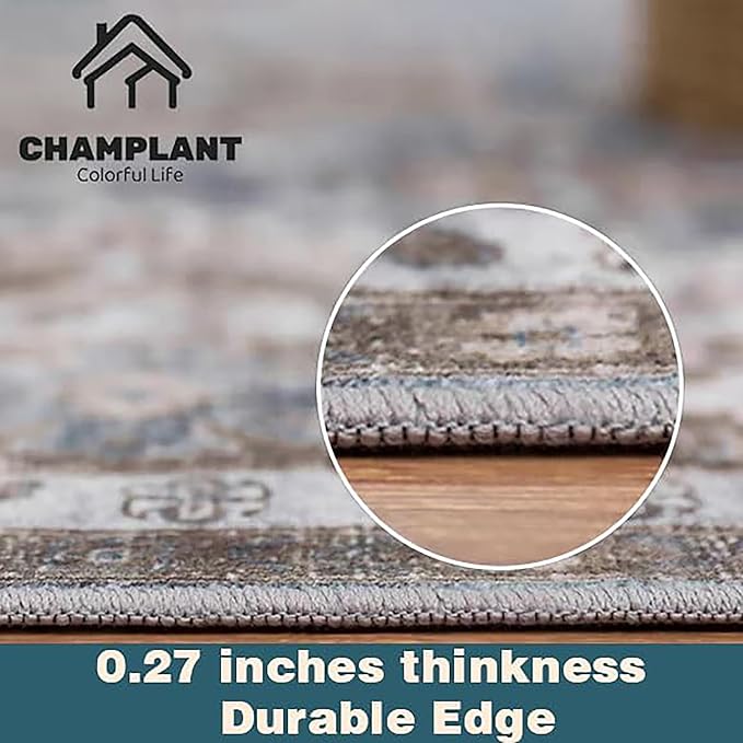 Washable Area Rug 4'x6' Vintage Traditional Floor Cover Foldable Thin Rugs Retro Kitchen Indoor Distressed Non Slip Carpet Floral Print Mat Bedroom Living Room