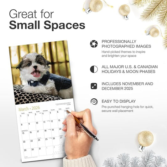 RED EMBER Shih Tzu Puppies 2026 Mini Wall Calendar 12 Month | 7" x 14" Open | Thick & Sturdy Paper | Holiday Gift | Cute Puppy Dog Calendar 2026