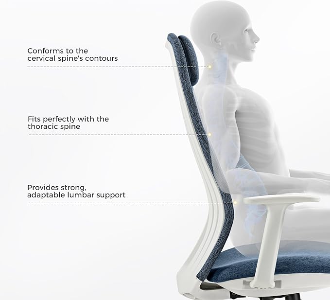 EUREKA ERGONOMIC Skylar-Lite Mesh Office Chair Blue, Ergonomic Office Desk Chair with Adjustable Headrest, Home Office Desk Chairs with Adjustable Lumbar Support