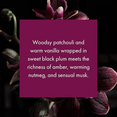 ScentAir Whisper Home Monthly Plug-in Refill, Fragrance Cartridge for Home and Office, Black Orchid