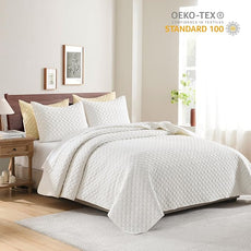 HORIMOTE HOME Cream Quilt Queen Size, Lightweight Quilts for Summer Ultra-Soft Microfiber Modern Style Quilted Clouds Pattern Bedspread Quit Set 3 Pieces(1 Quilt and 2 Pillow Shams)