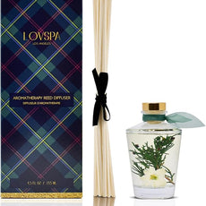 LOVSPA Reed Diffuser Set, Sparkling Balsam Scented Oil Diffuser with Sticks, Home Fragrance Accessories for Bathroom Shelf Decor, Aroma Diffusers for Home or Office Desk, USA Made