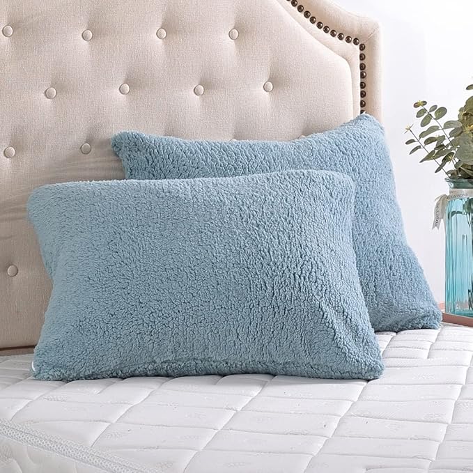Reafort Ultra Soft Sherpa Pillowcases Pillow Covers Standard Size 20"x26" Pack of 2 with Zipper Closure (Blue, 20”x26” Standard Sham)