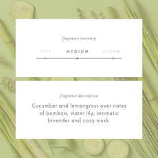 ScentAir Whisper Home Monthly Plug-in Refill, Fragrance Cartridge for Home and Office, Aloe Oasis Pet Calming