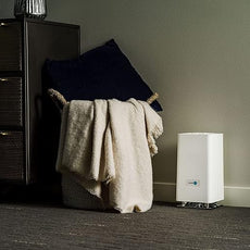 ScentAir Whisper Home Monthly Plug-in Refill, Fragrance Cartridge for Home and Office, Black Orchid