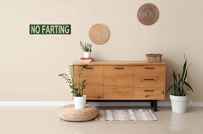No Farting Metal Tin Sign 4x16 in Vintage Plaque Decor For Home Restaurant Bar Cafe Garage Decor Unique Gift for Humor Lovers