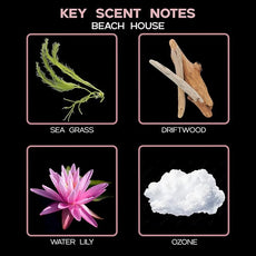 LOVSPA Reed Diffuser Set, Beach House Scented Oil Diffuser with Sticks, Home Fragrance Accessories for Bathroom Shelf Decor, Aroma Diffusers for Home or Office Desk, USA Made