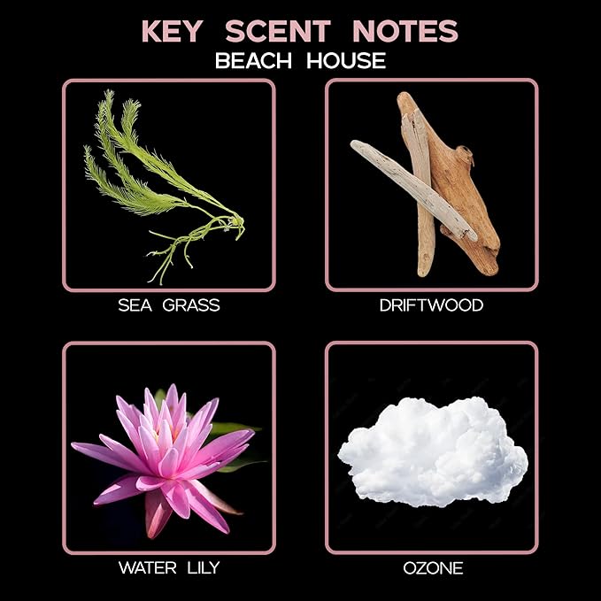 LOVSPA Reed Diffuser Set, Beach House Scented Oil Diffuser with Sticks, Home Fragrance Accessories for Bathroom Shelf Decor, Aroma Diffusers for Home or Office Desk, USA Made