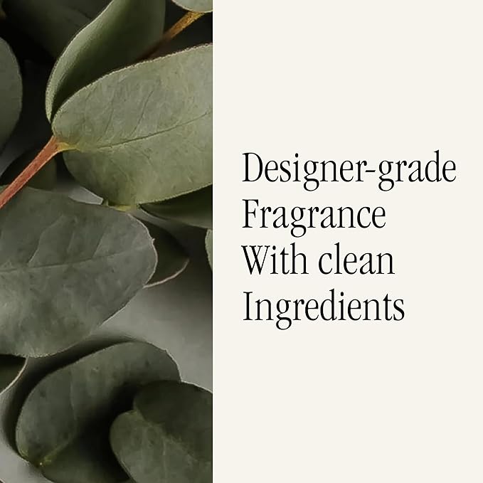 Pura & Homesick Home Scent Refill - Smart Home Air Diffuser - Up to 120-Hours of Luxury Fragrance per Refill - Home Essential - Clean & Safe Diffuser Fragrance - 2 Pack, Winter Mantel