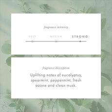 ScentAir Whisper Home Monthly Plug-in Refill, Fragrance Cartridge for Home and Office, Eucalyptus Mint