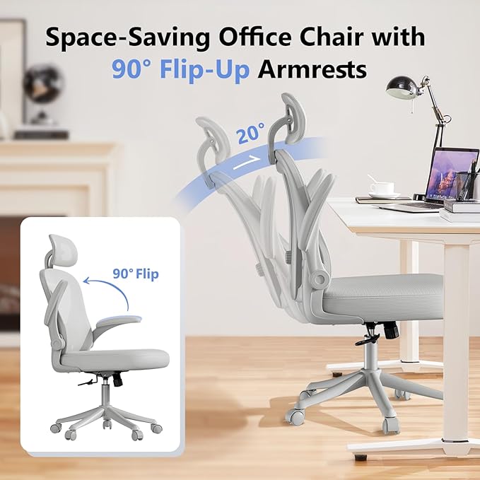 Ergonomic Office Chair M903, Computer Desk Chair with Wheels, High Back Mesh Office Chair with Adjustable Lumbar Support, Headrest, Flip-Up Armrests, All-Grey