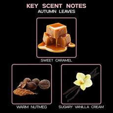 LOVSPA Reed Diffuser Set, Spiced Caramel Vanilla Scented Oil Diffuser with Sticks, Home Fragrance Accessories for Bathroom Shelf Decor, Aroma Diffusers for Home or Office Fall Decor, USA Made