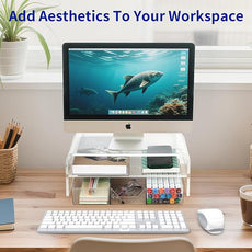 OPNICE Acrylic Clear Desk Organizers and Accessories, 2-Tier Computer Monitor Stand Riser with Drawer, Laptop Stand, Office Desk Accessories for Office Supplies, Transparent