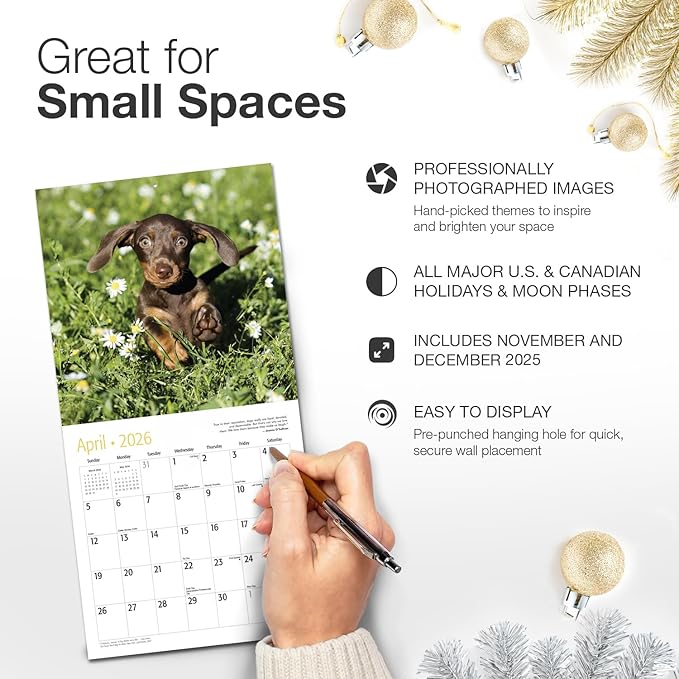 RED EMBER Dachshund Puppies 2026 Mini Wall Calendar 12 Month | 7" x 14" Open | Thick & Sturdy Paper | Holiday Gift | Cute Weiner Puppy Dog Calendar 2026