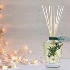 LOVSPA Reed Diffuser Set, Sparkling Balsam Scented Oil Diffuser with Sticks, Home Fragrance Accessories for Bathroom Shelf Decor, Aroma Diffusers for Home or Office Desk, USA Made