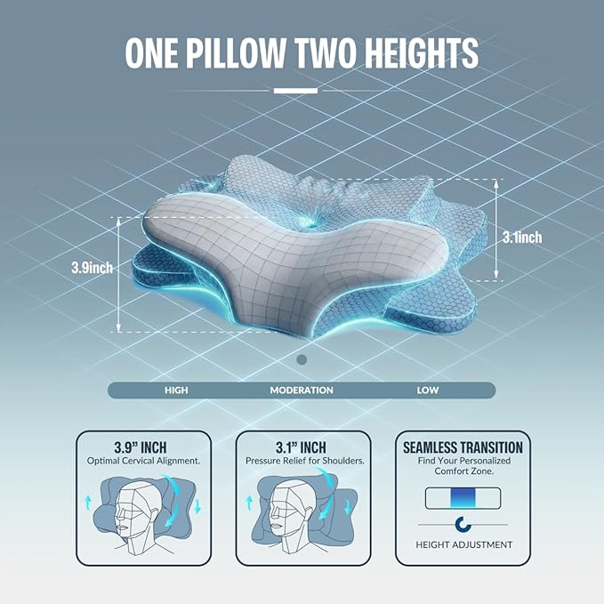 Pillows (Blue-Whtie)