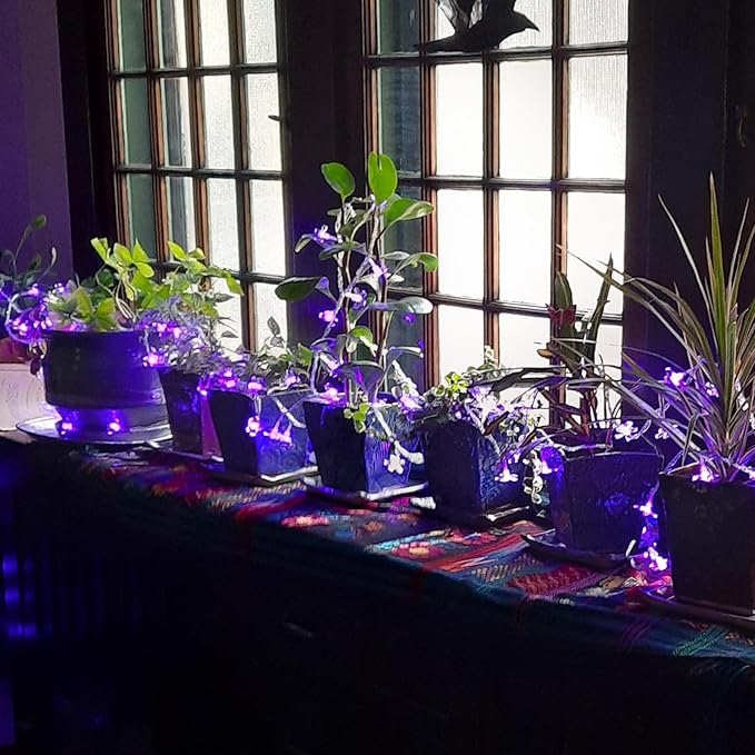 Cute Flower String Lights, USB & Battery Lighted Decorative Fairy Cherry Blossom Indoor Bedroom Tree Branches Hanging, Novelty Floral Lamp for Christmas Easter Wedding Party Birthday Decor (Purple)