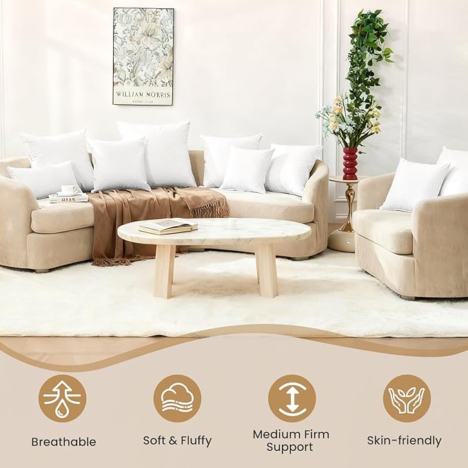 BHZ Throw Pillows 18x18 Euro Pillow Inserts Set of 2, Down Feather Alternative Pillow Inserts, Decorative Soft Large Square White Throw Pillows Insert for Couch Bed Dorm Sofa with Cotton Cover