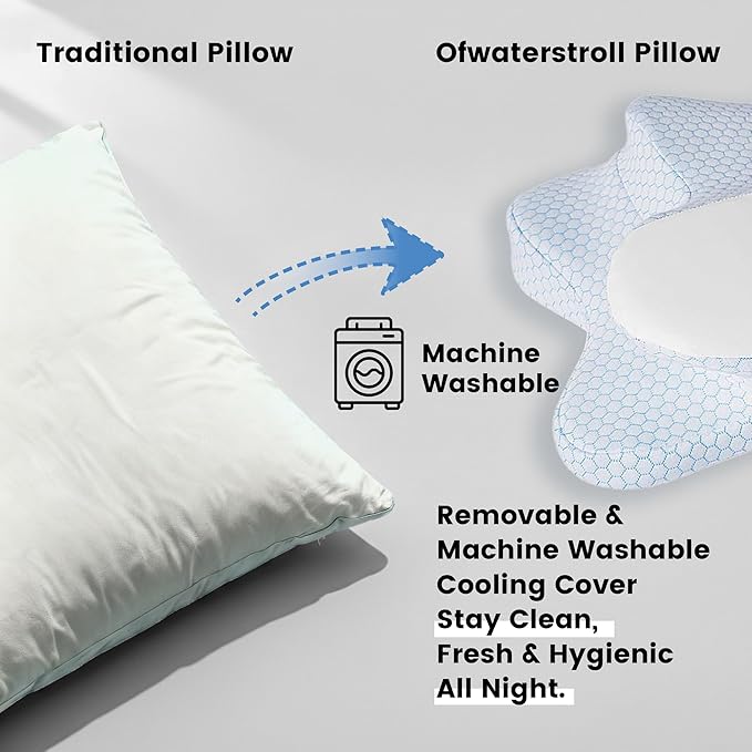 Pillows (Blue-Whtie)