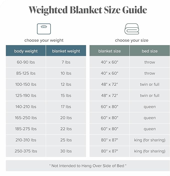 Bare Home Weighted Blanket Queen Size 17lb (60" x 80") for Adults - Minky Fleece - Premium Heavy Blanket Nontoxic Glass Beads (Grey, 60"x80")