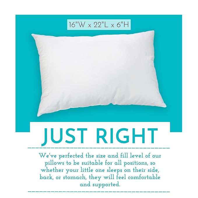 Youth Pillow - 16 X 22 - Soft & Hypoallergenic - Kids Sleeping Pillow - Toddler Bed Pillow - Perfect Size - Backed by Our Love The Fluff Guarantee (2 Pack)