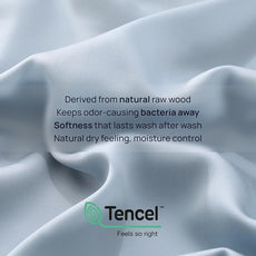 Full Size 4 Piece Bed Sheet Sets, DeepSleep Tech Luxury Bedding Made with 100% Tencel Lyocell - Silky, Lustrous & Gentle on Skin | Day Dream (2 Sheets, 2 Pillow Cases)